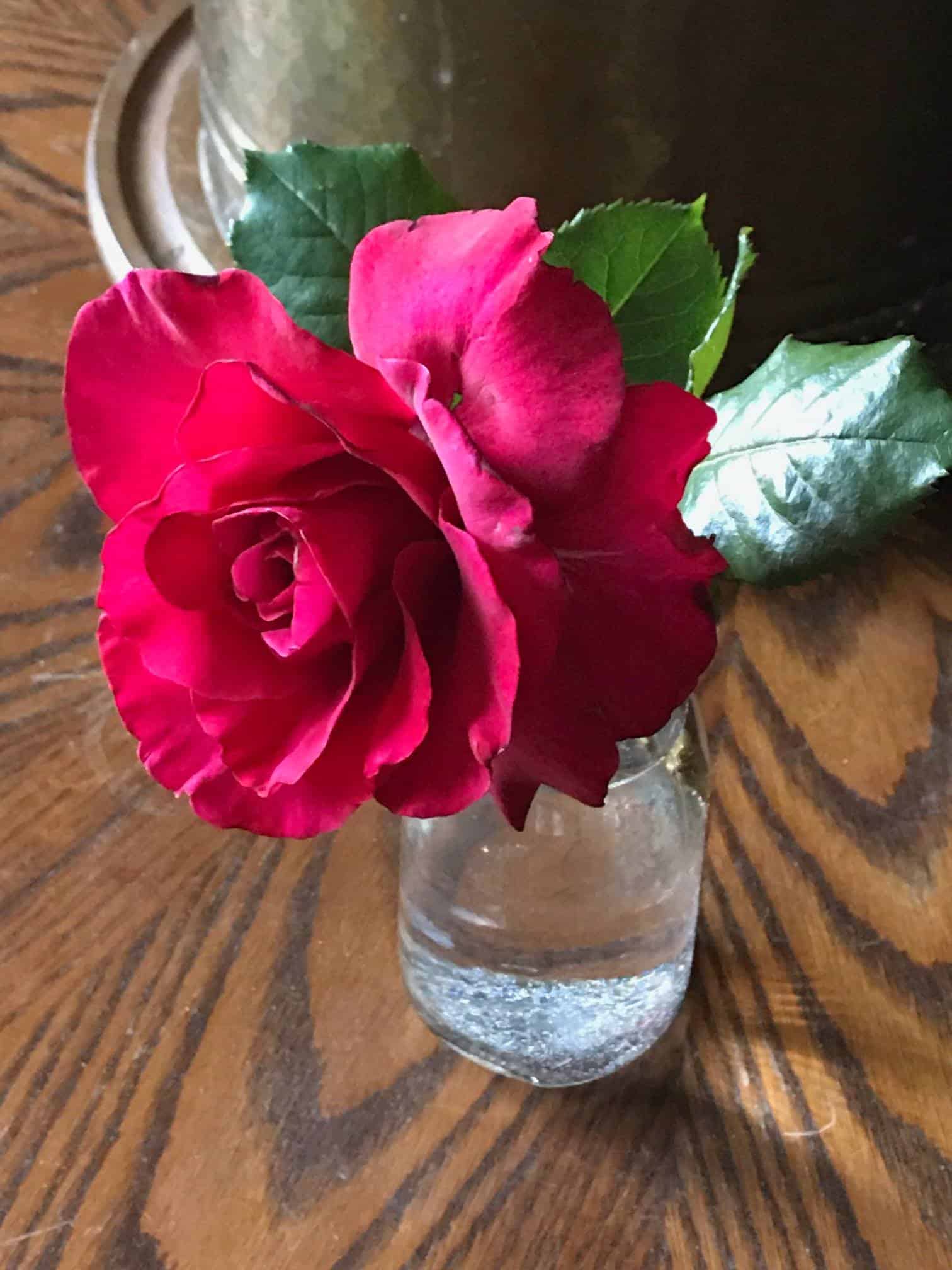Patented rose