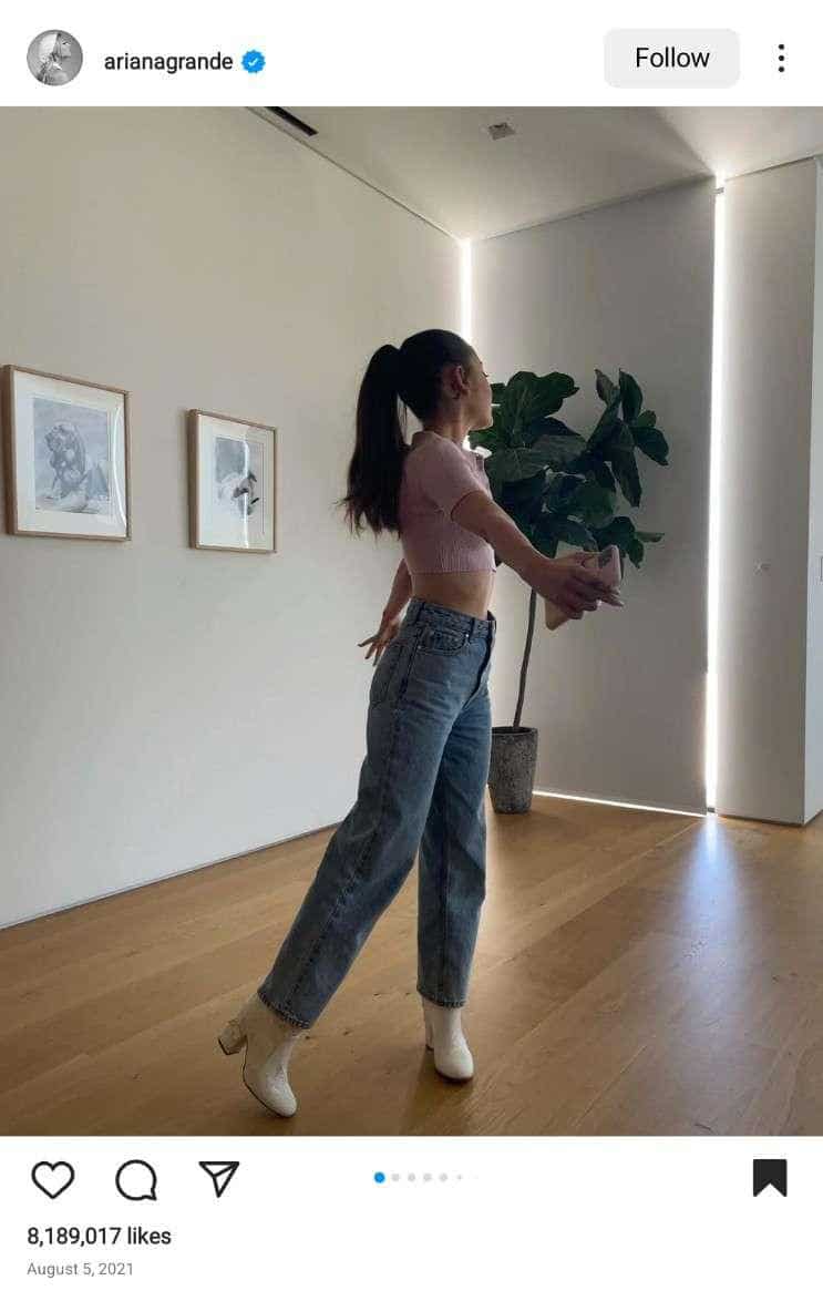 Ariana Grande is facing backward and the Fiddle Leaf Fig plant is growing in a pot by the corner