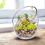 KNIKGLASS Clear Terrarium