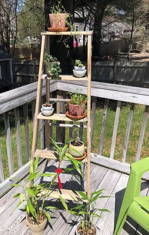 Loft ladder with plants on Balcony