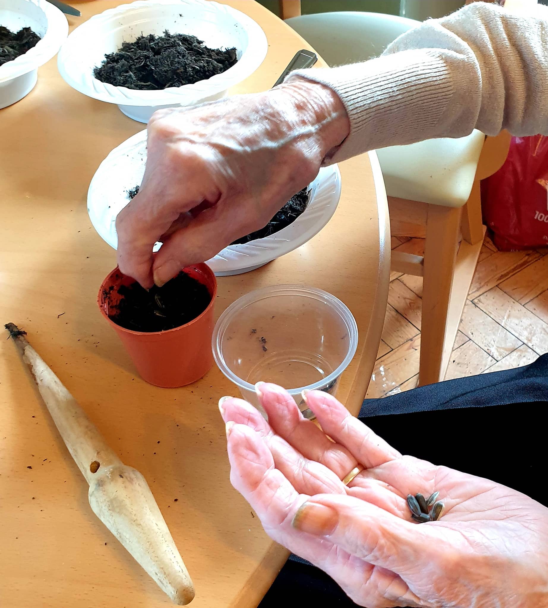 Image represents the process of sowing seeds