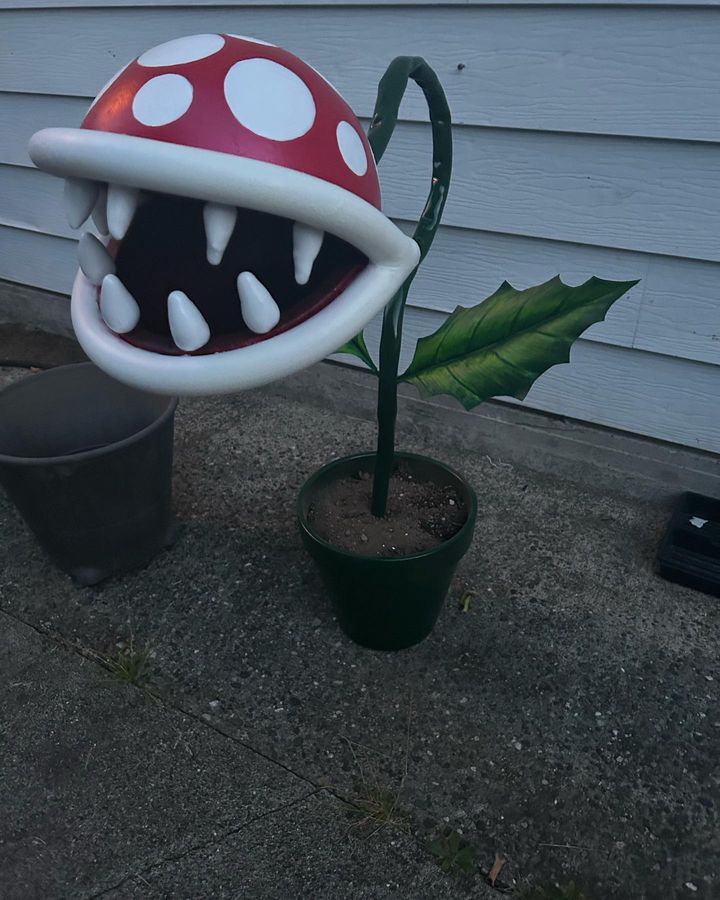 Mario Piranha Plant [does This Jubilant Villain Plant Exist In Real]