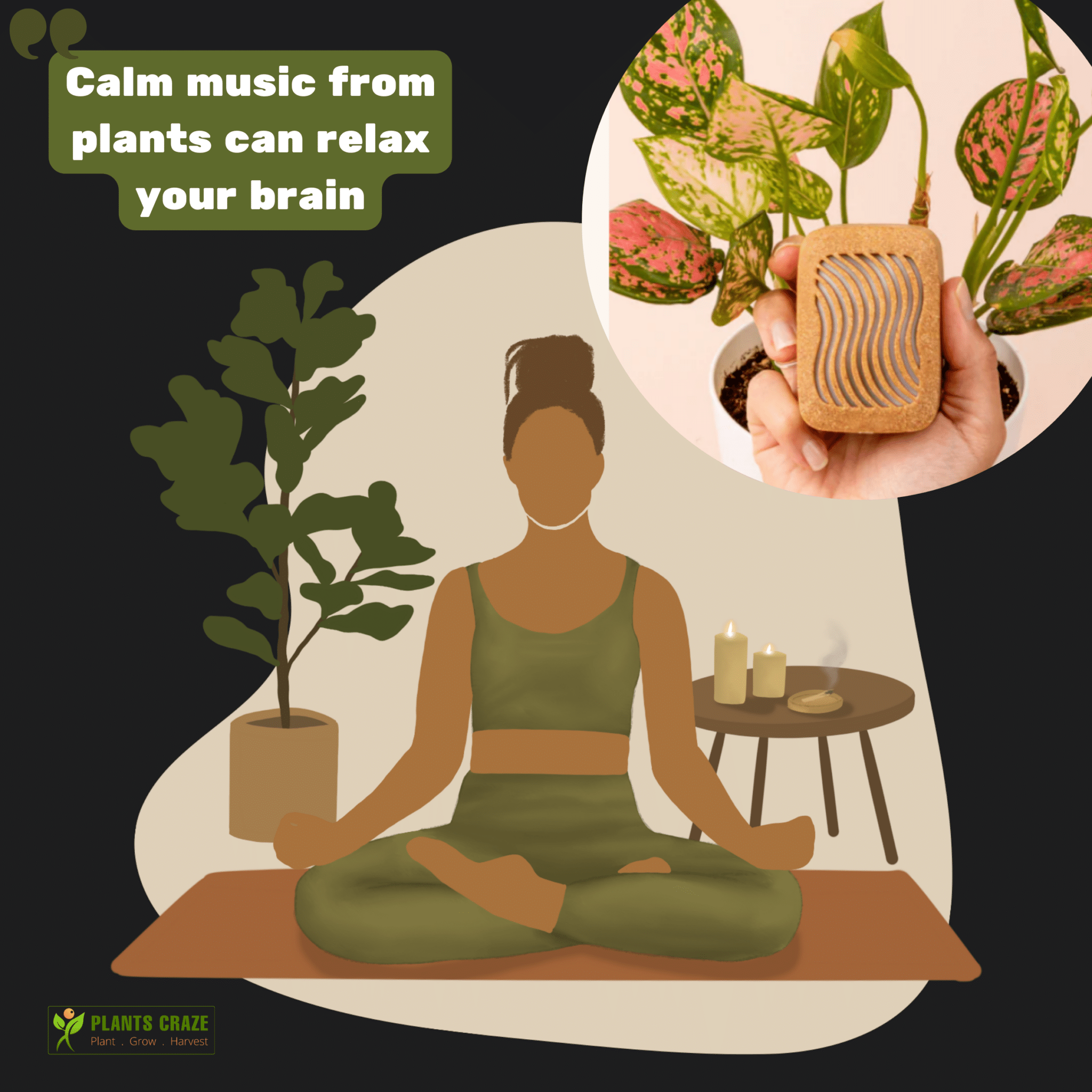 Image illustrates the calming effect of plant music in meditation