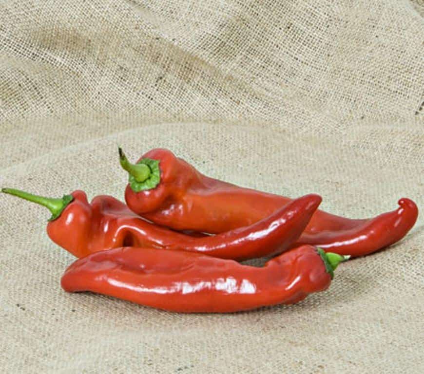 Boldog Paprika Pepper is one of the most exciting varieties of Pepper.