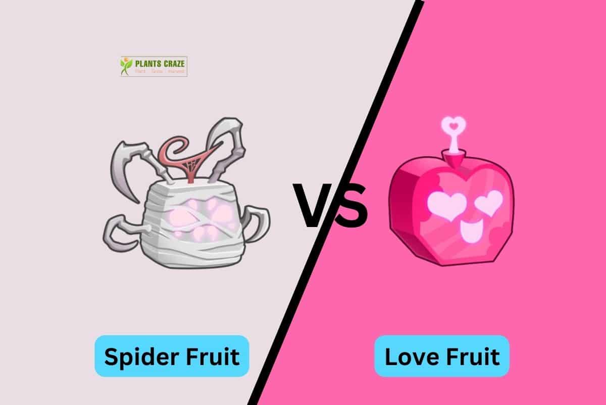 Spider Vs Love In Blox Fruits Which Should You Take