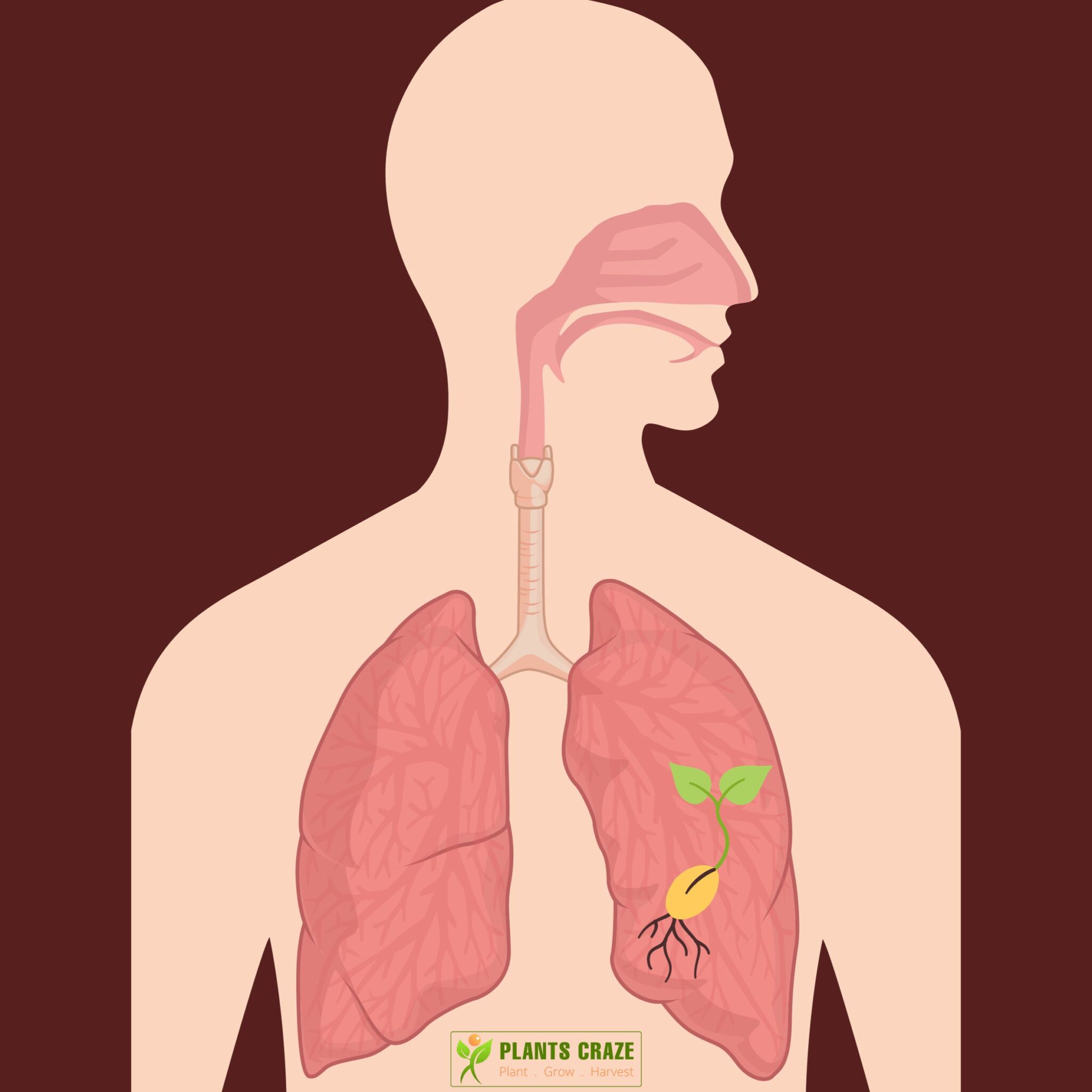 Plant growing within human body