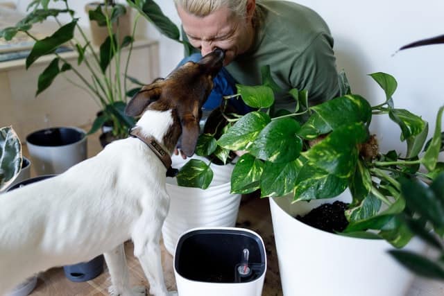 A plant parent with his pet dog