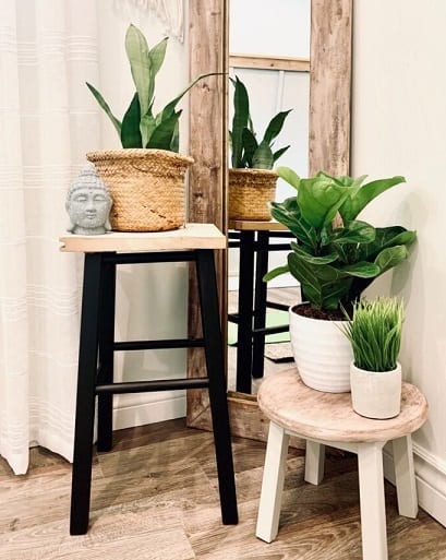 10 Best Orchid Plant Stands [Indoor & Outdoor]