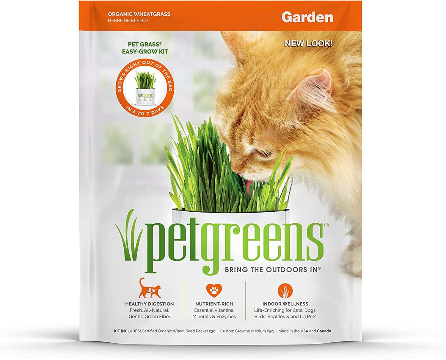 Pet Greens Self-Grow Pet Grass