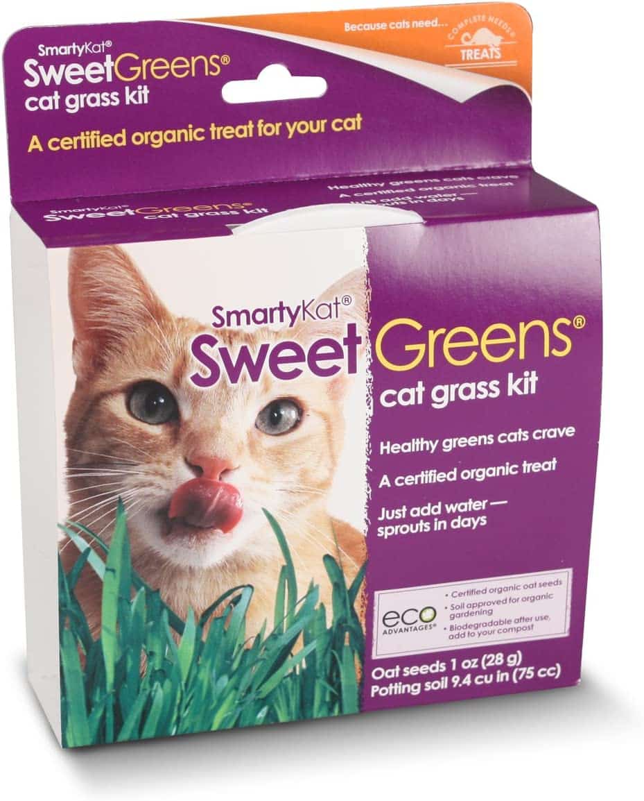 SmartyKat Sweet Greens