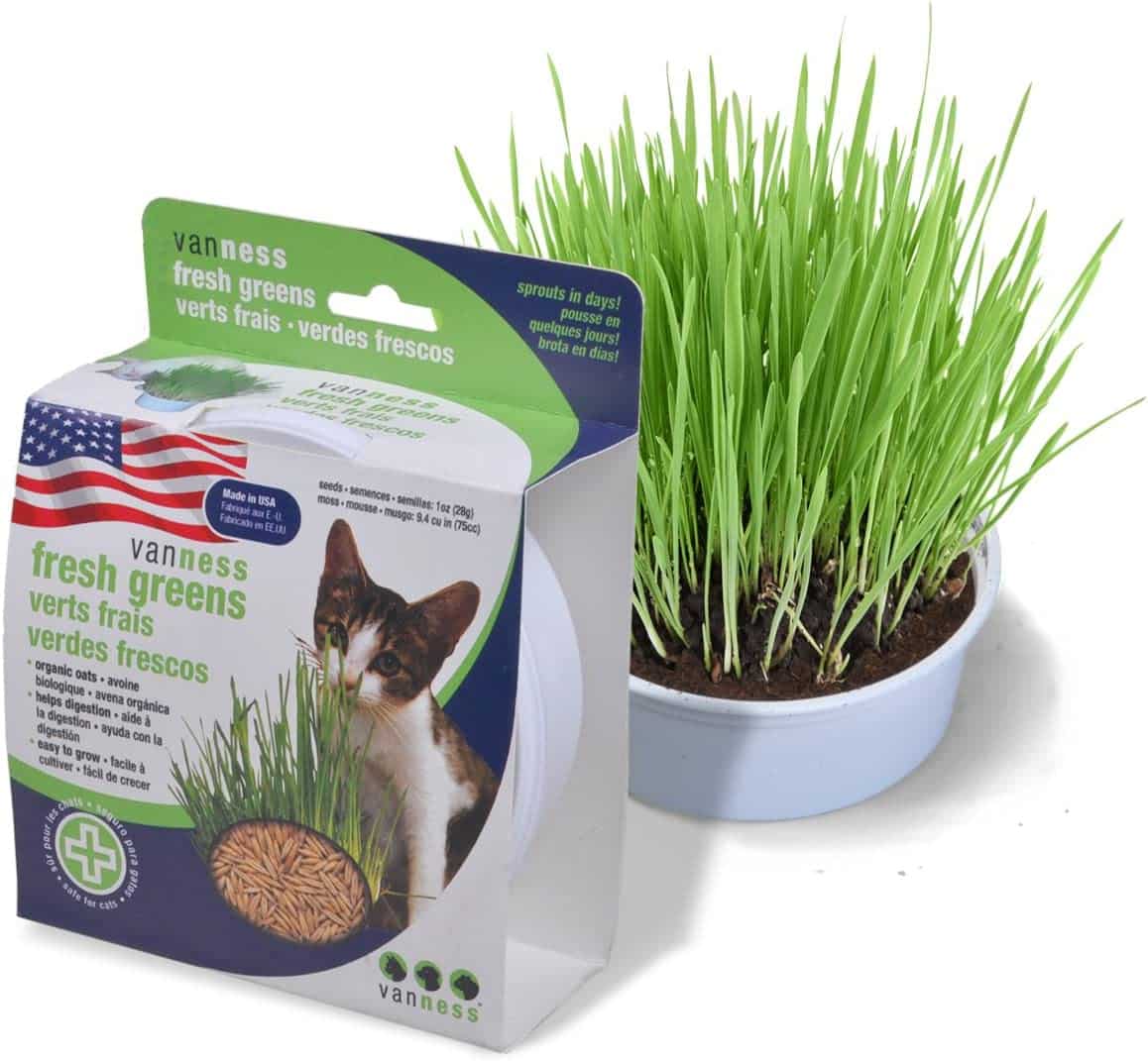 Van Ness Oat Garden Kit