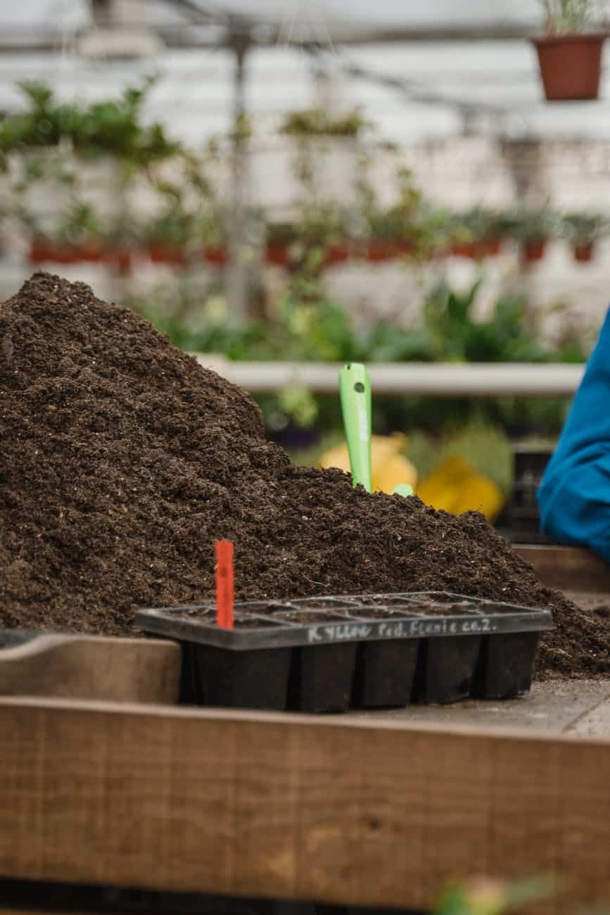 A small heap od potting mix along with nursery tray having 10 slots ready to be filled.