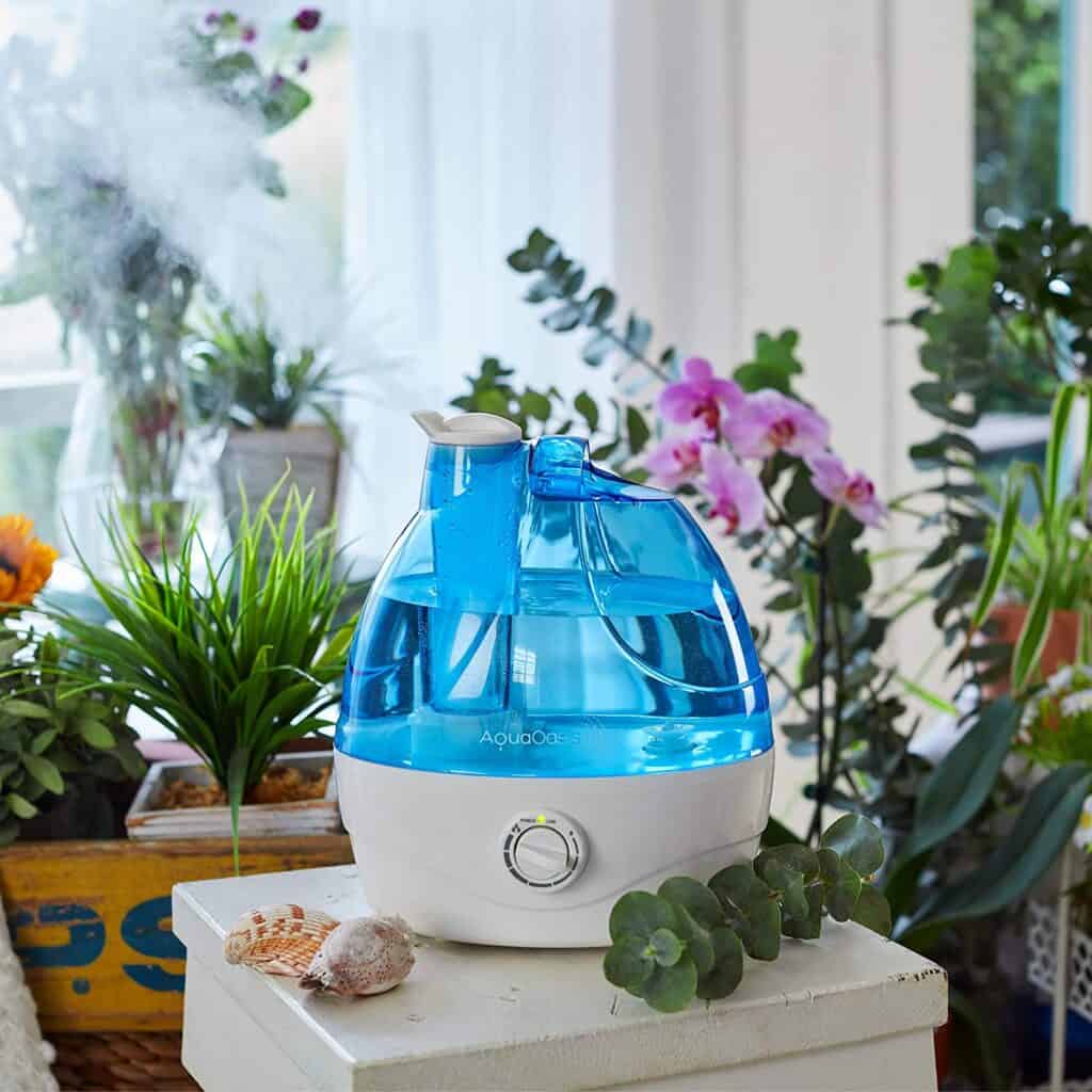 humidifier