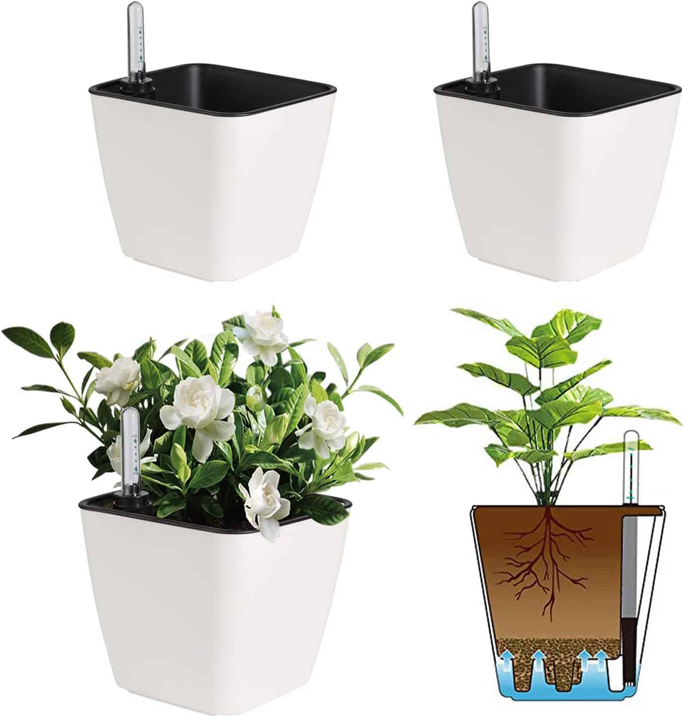 T4U Self Watering Pot 