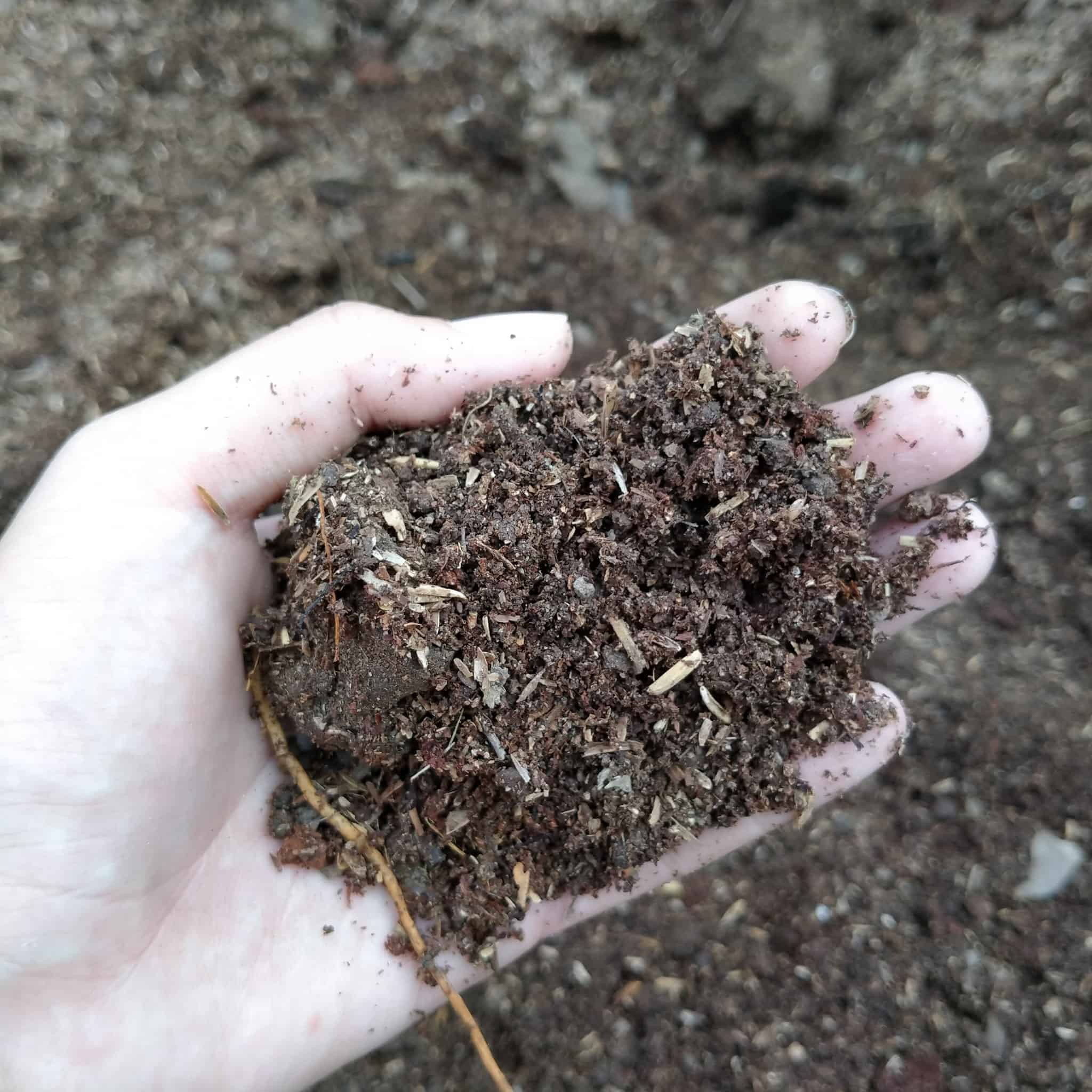 Image represents garden soil