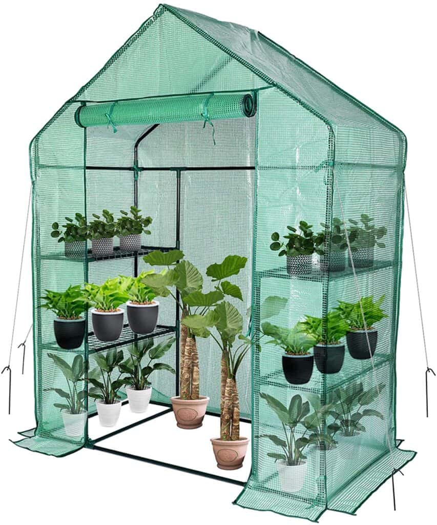 Small Green house