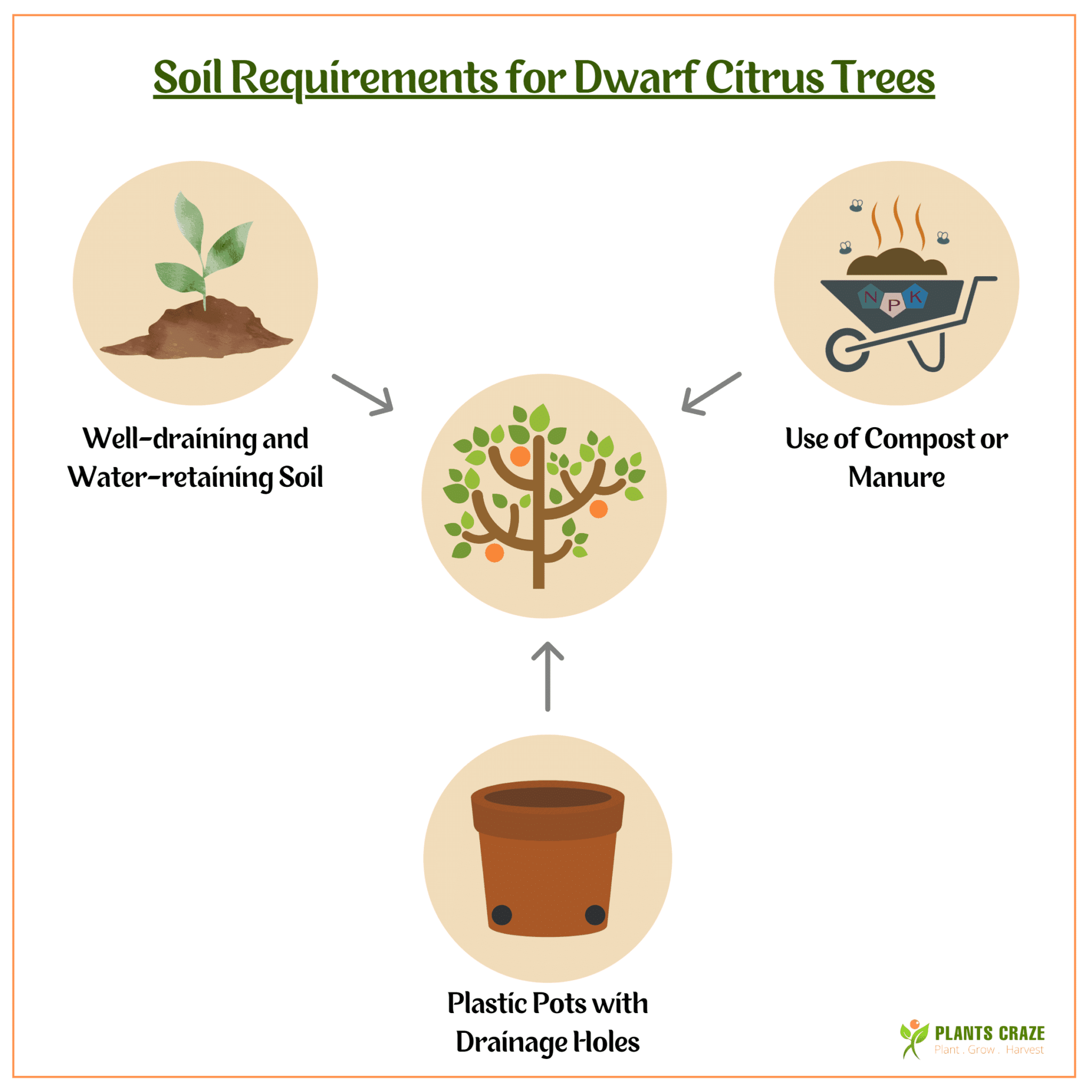 Image illustrates some factors to consider while choosing a potting mix for Dwarf Citrus Trees