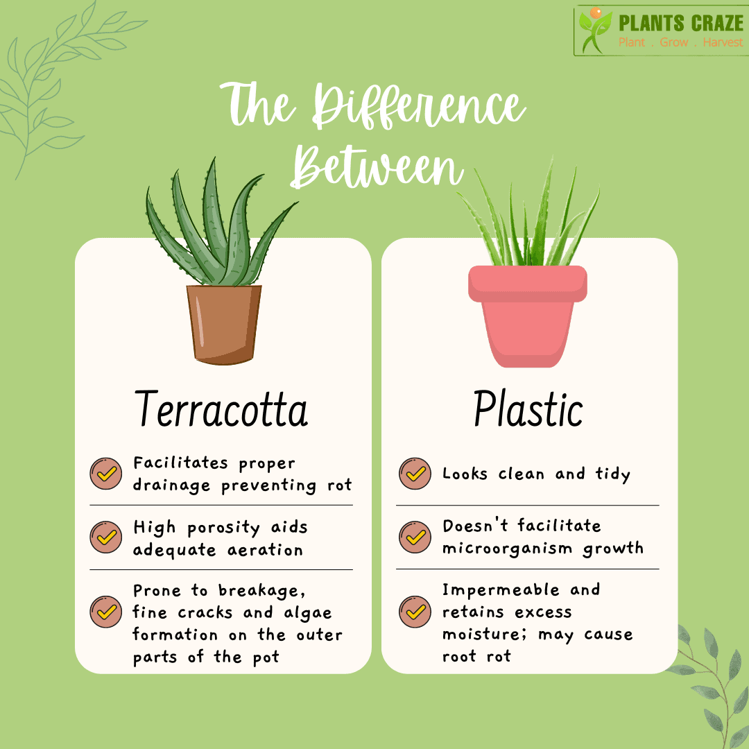 Infographis with three common difference between terracotta and plastic planter.