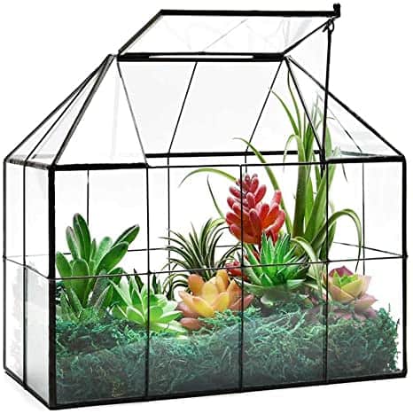 humid terrarium