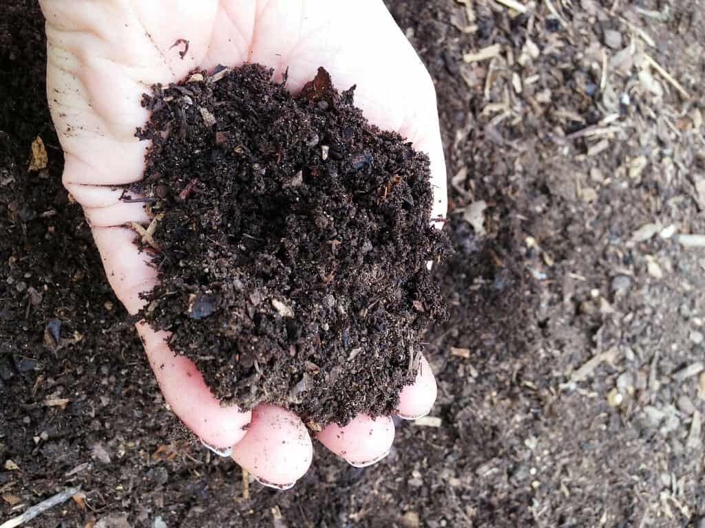 Soil mixed with Organic Material