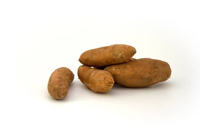 How to Grow Sweet Potatoes Indoors?