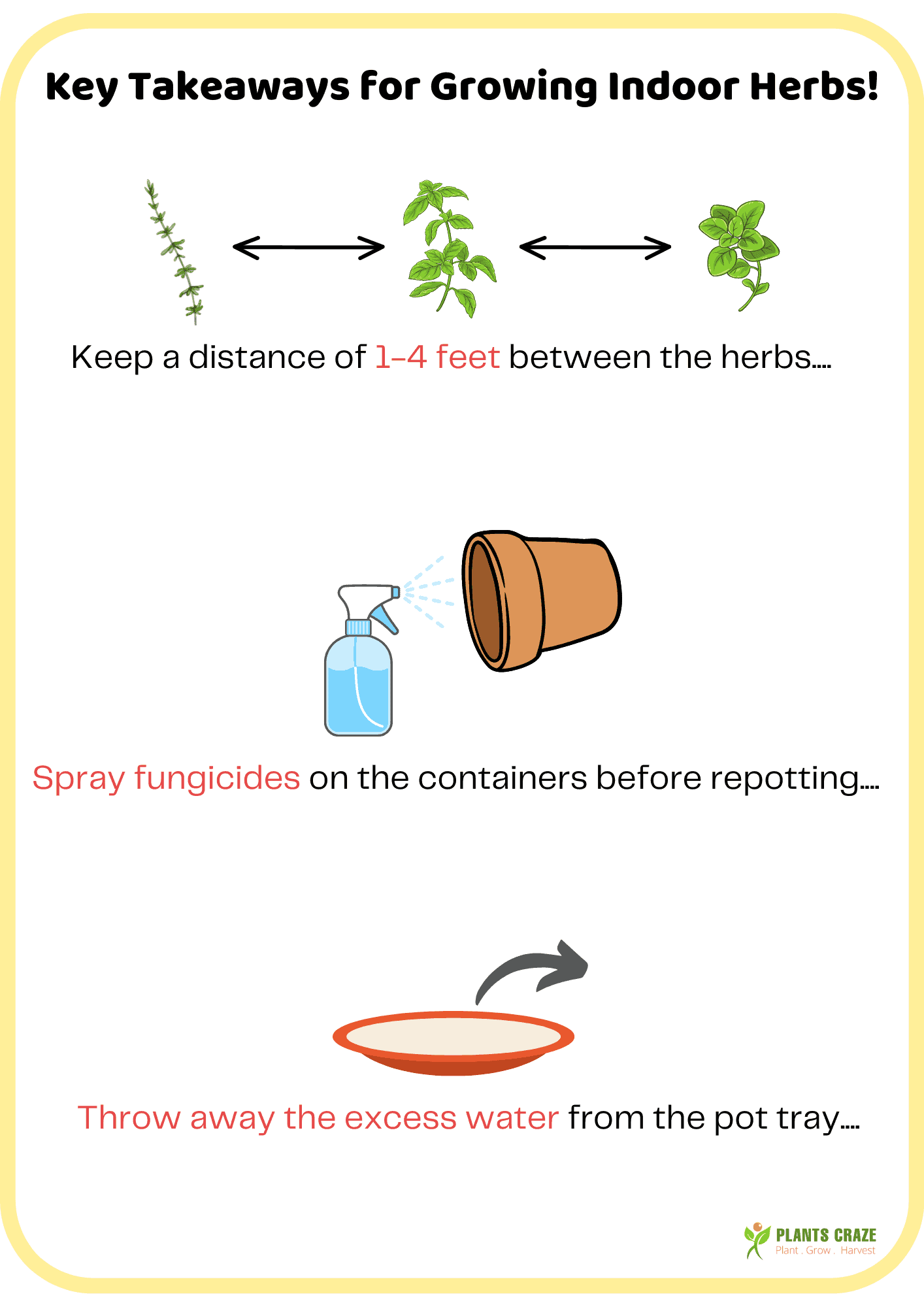 Image illustrates key takeaway points for growing indoor herbs