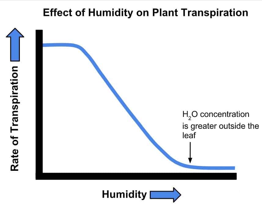 Effect of Humidity on Plant's Humidity