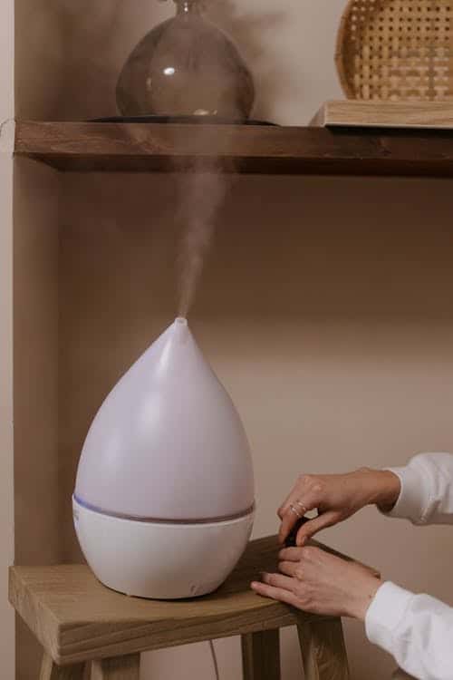 electric humidifier for string of frogs