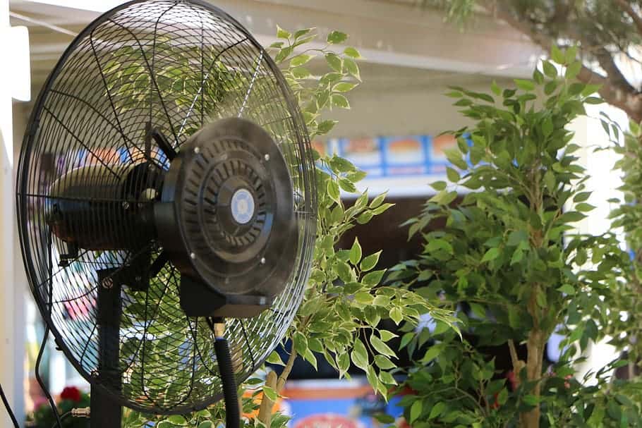 Indoor plants placed near a fan 