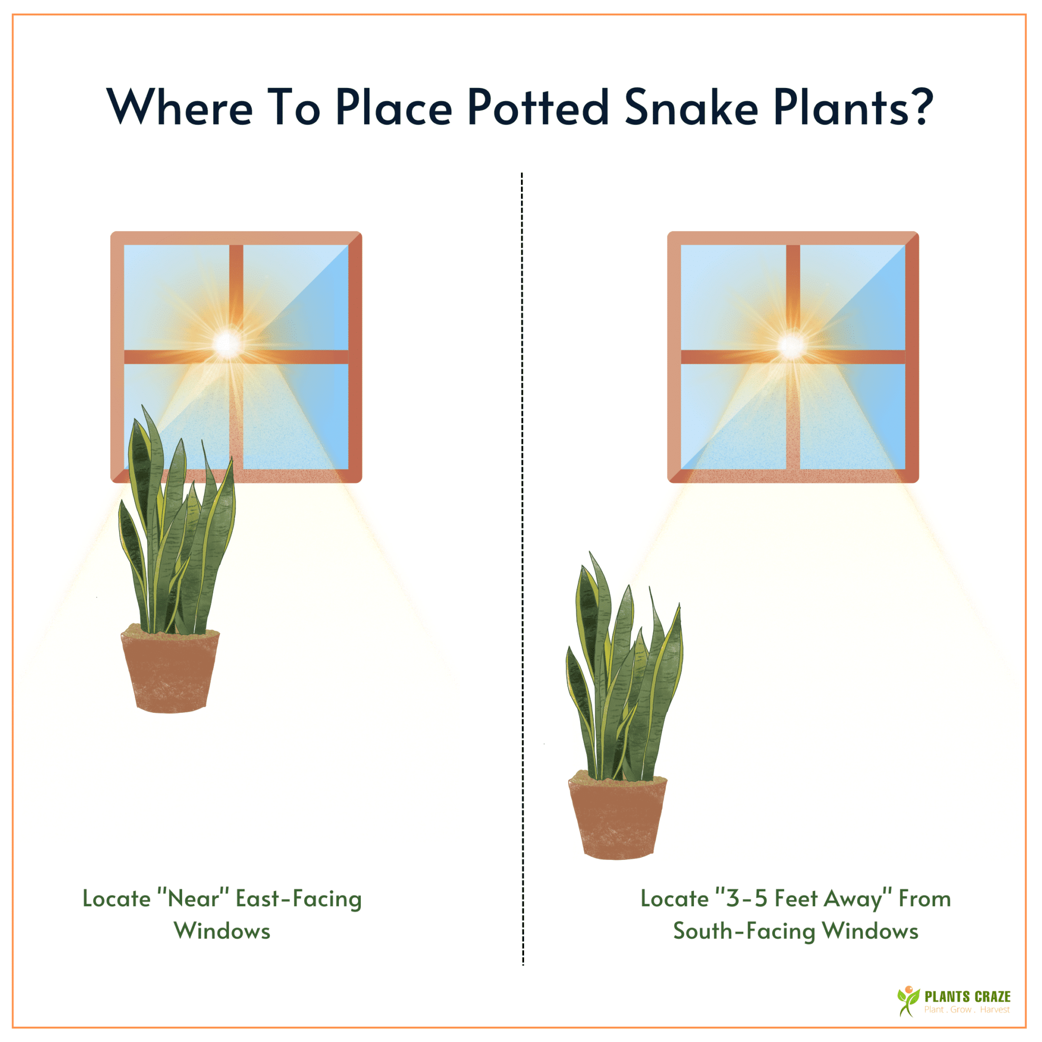 Image illustrates the placement of Snake Plants near or far from windows