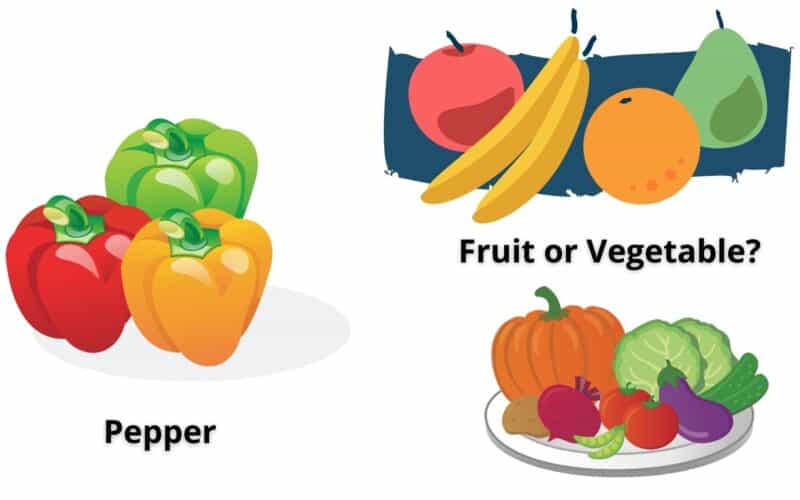 Is Pepper a Fruit or a Vegetable? Plants Craze