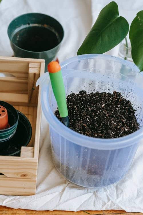 Preparing Soil Mix for the plant in a transparent bucket