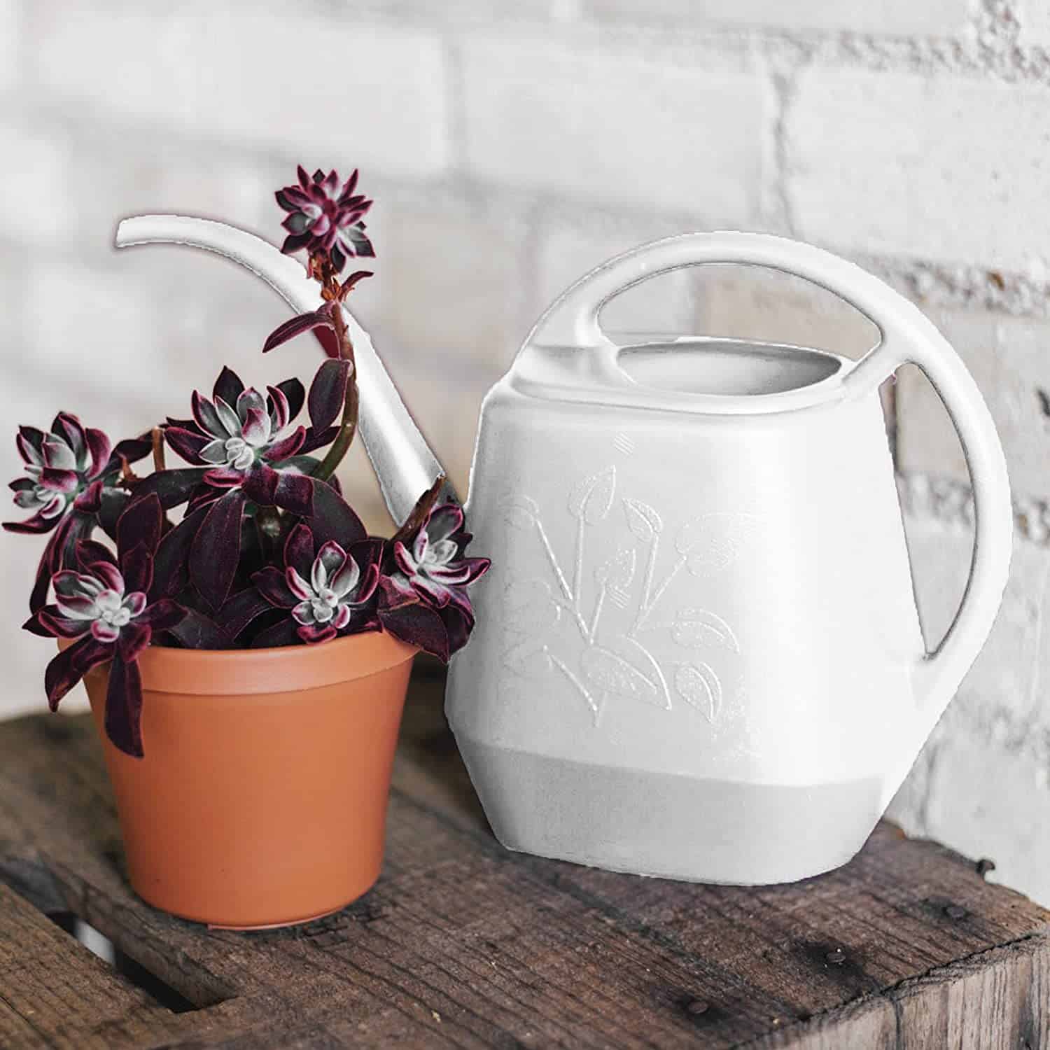 Bloem AW21-09 Watering Can Aqua Rite 