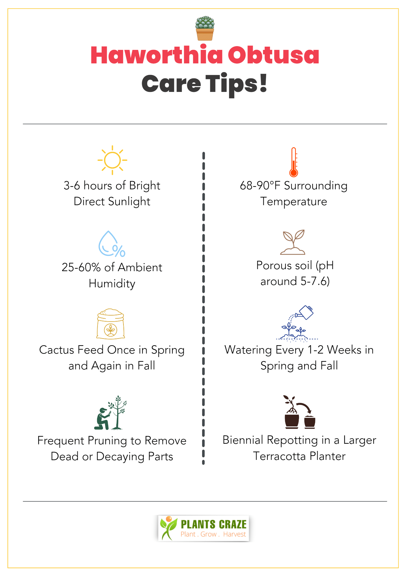 Image illustrates basic care tips for Haworthia Obtusa