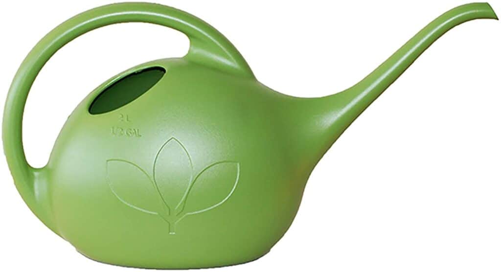 Novelty Indoor Watering Can