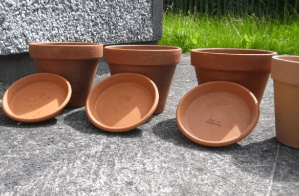 Terracotta pots with saucer pan