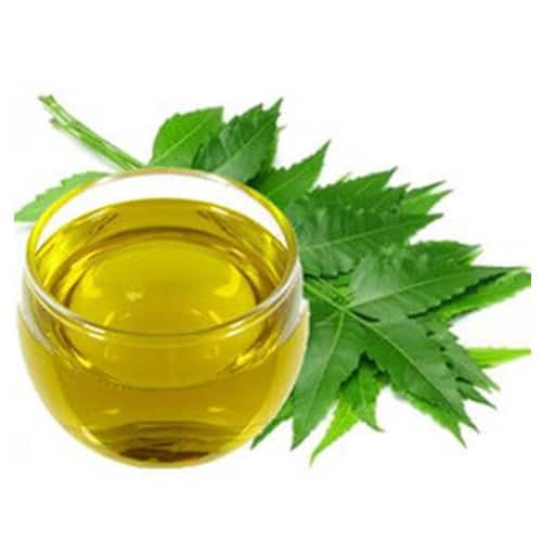 Neem oil in cup besides leaves