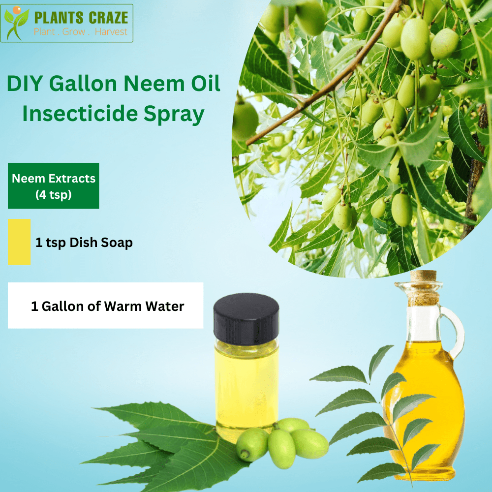 DIY Gallon Neem Oil Insecticide Spray