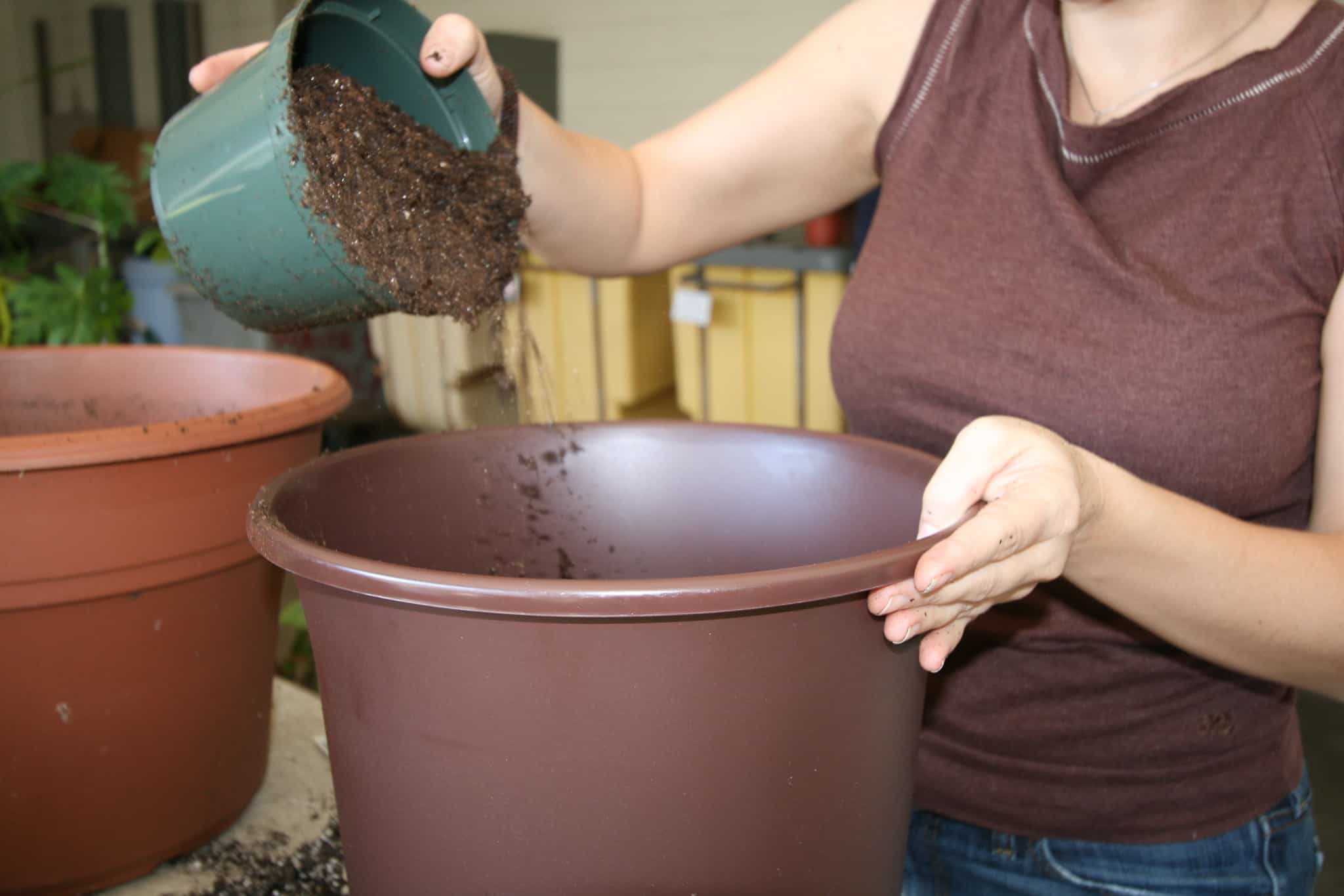 Preparing a potting mix