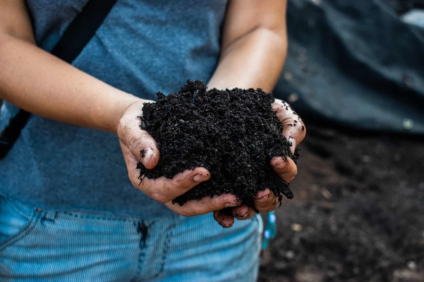 A person is holding on a pit of soil in his hands.