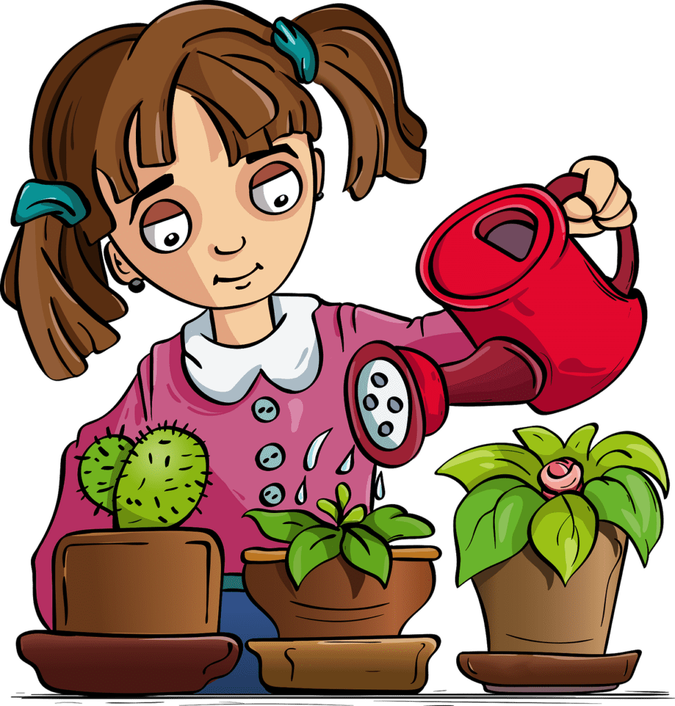 Watering the plant