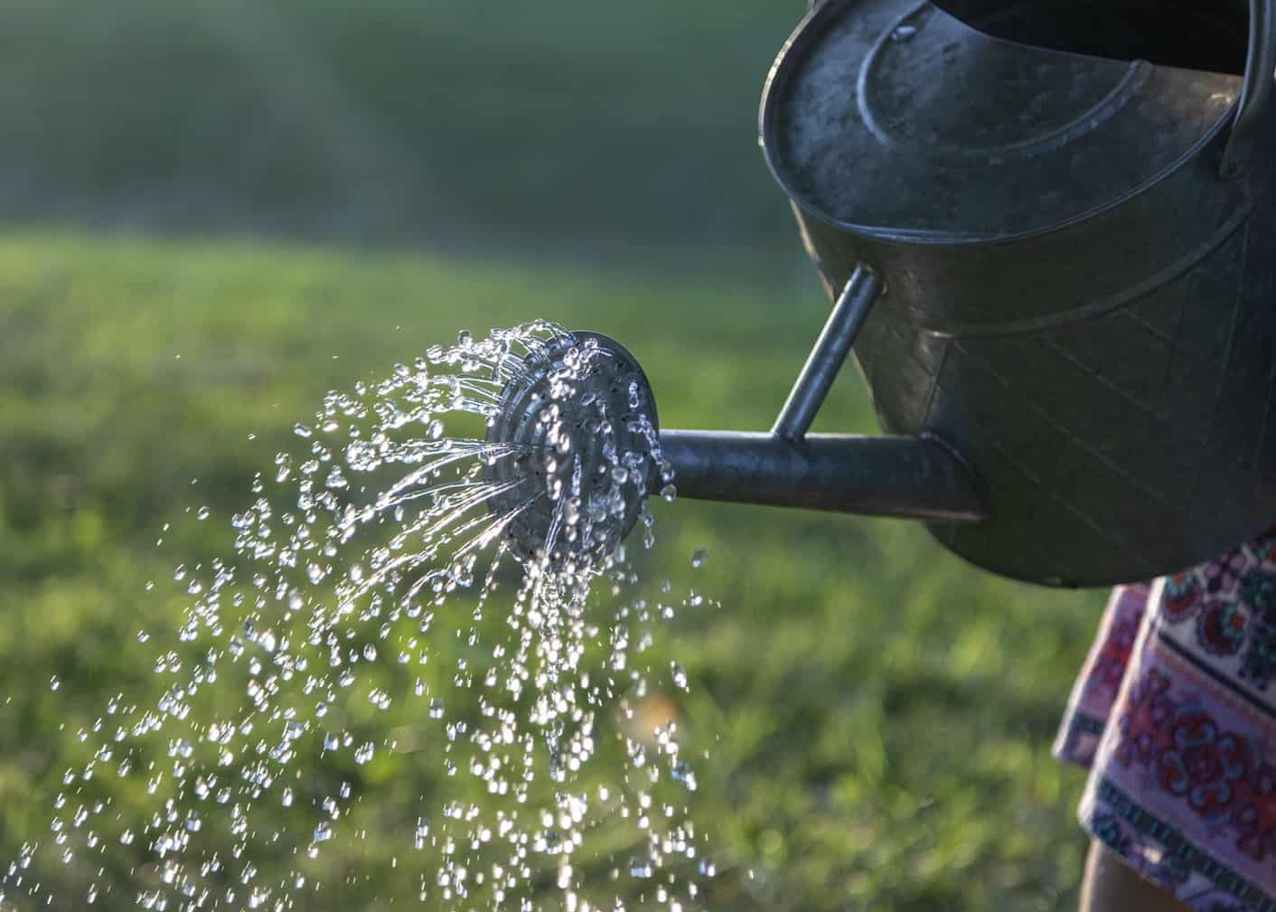 Watering