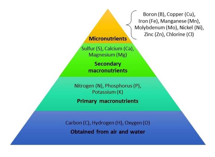 Plant Nutrient Pyramid