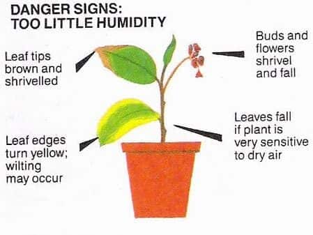 Effect of humidity