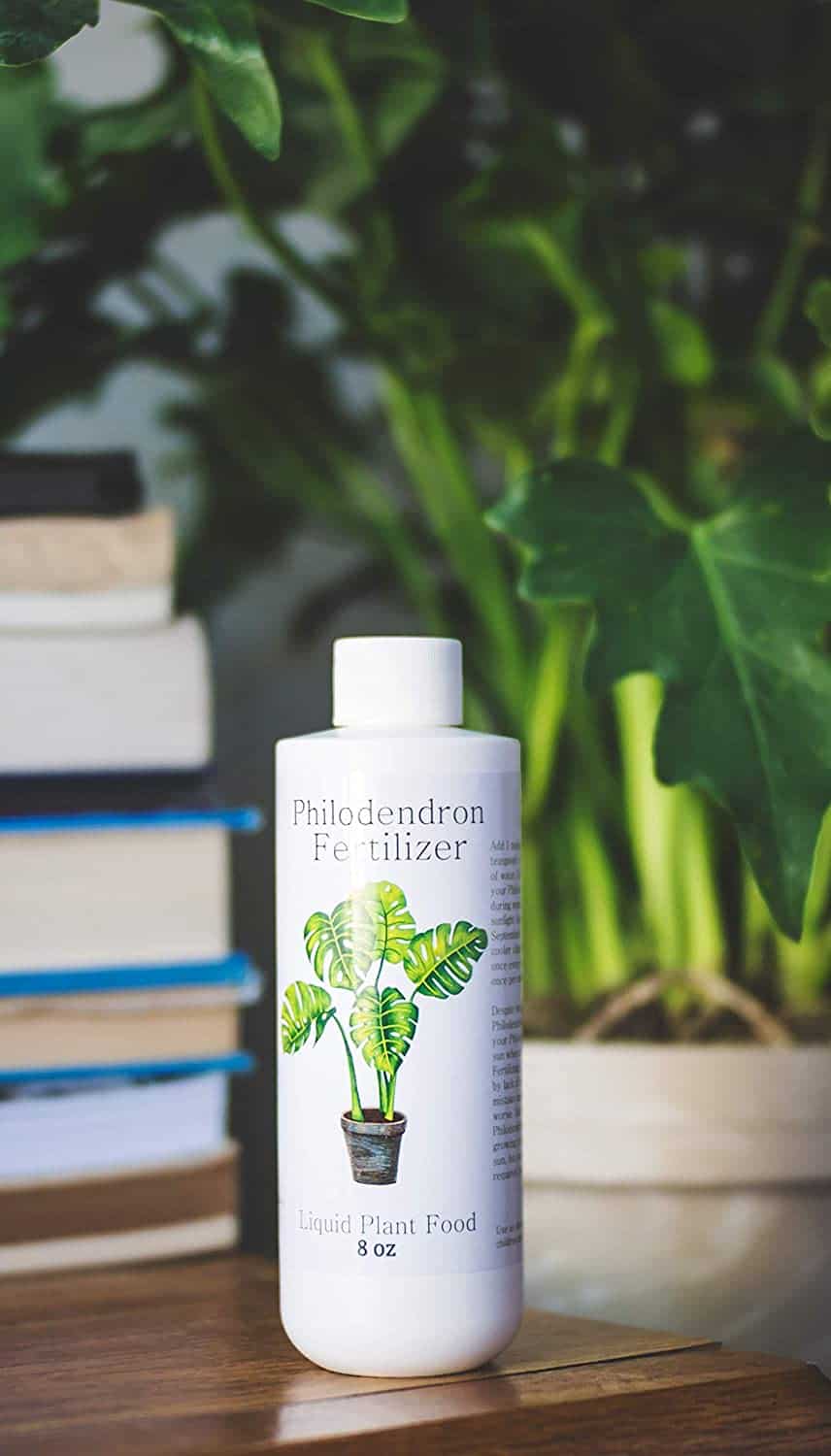 Philodendron Fertilizer