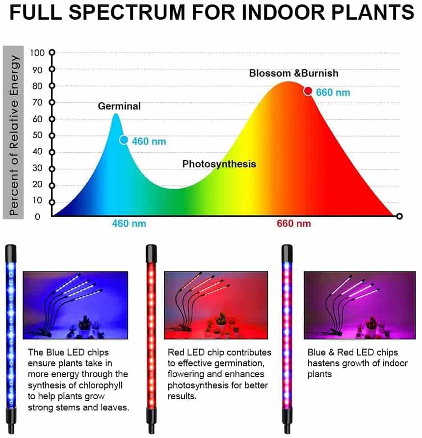 Full Spectrum for Indoor Plants