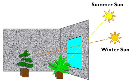 Sunlight for Indoor Plants