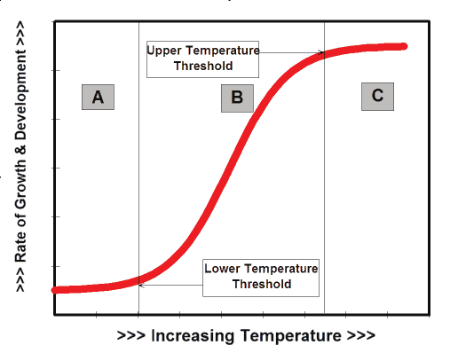 Relation between Rate of Plant Growth and Temperature