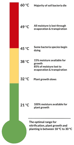 Soil temperature range with the effect of temperature over the plant and leaves growth.