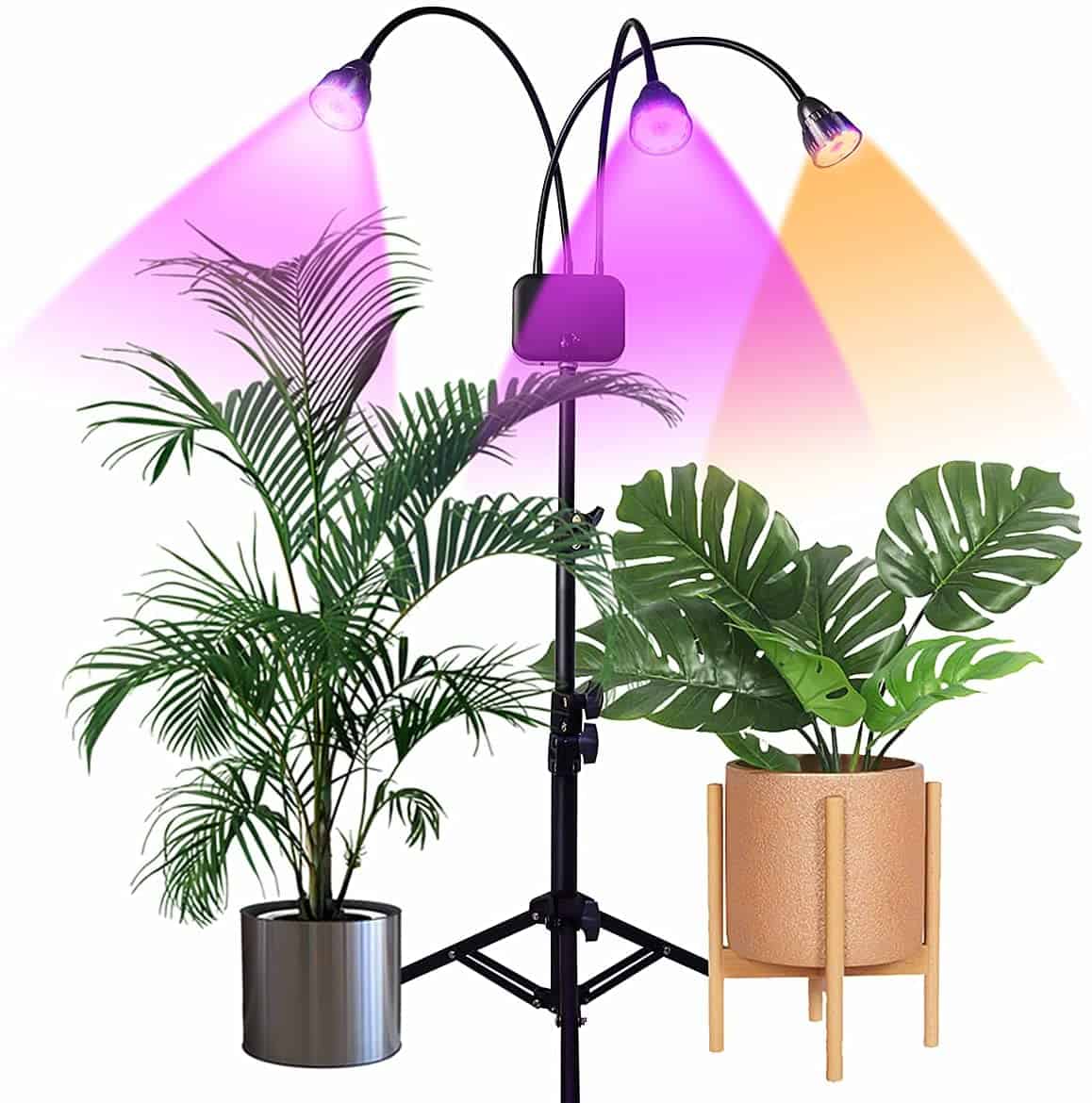 Plants under artificial/ grow light